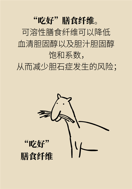 膽結(jié)石主要成分竟是膽固醇？預(yù)防它只需四個(gè)字