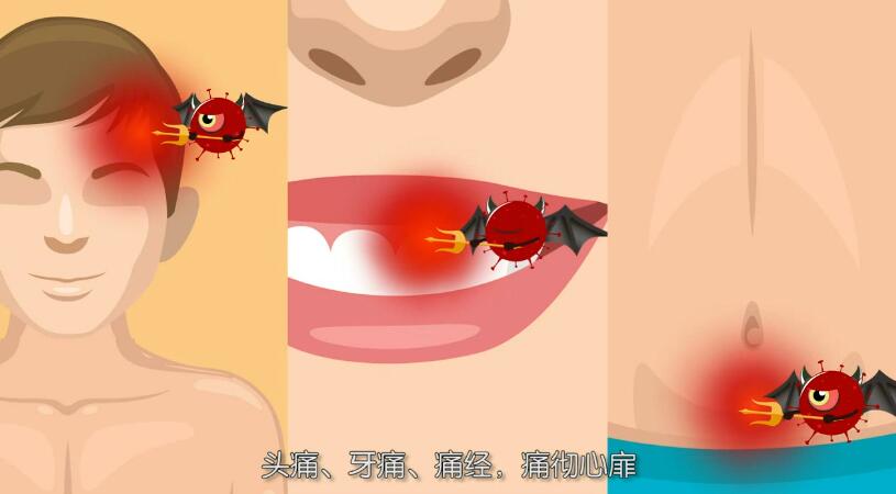 《止痛，認準貝樂芬》二維動畫廣告片.jpg