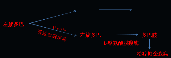 同樣的藥，為什么對他有效卻對你沒效果，可能得問腸道菌群