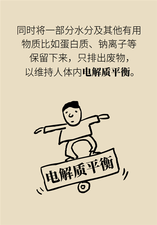 經(jīng)常憋尿會得急性腎炎？