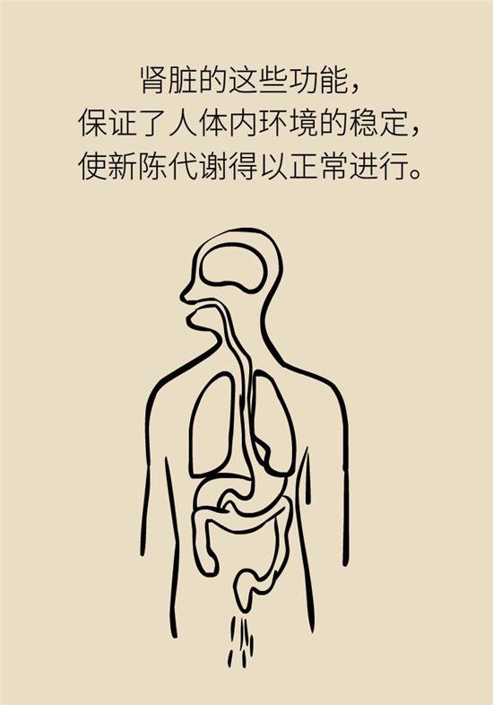 經(jīng)常憋尿會得急性腎炎？
