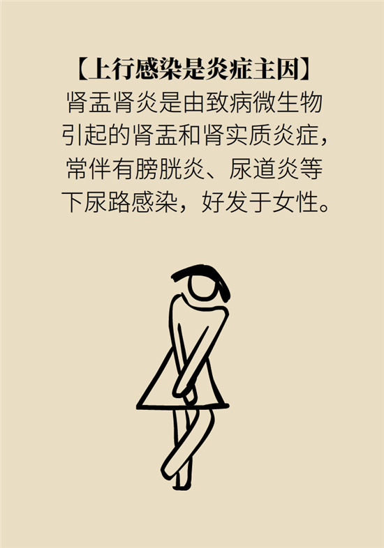 經(jīng)常憋尿會得急性腎炎？