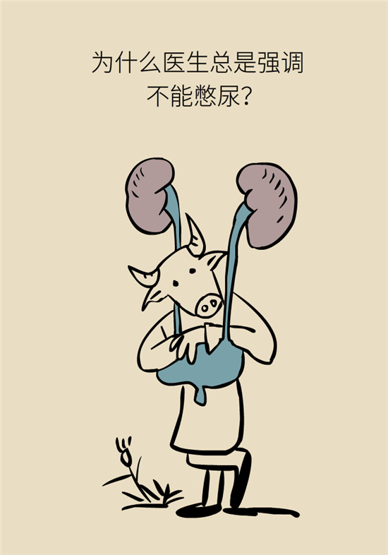 經(jīng)常憋尿會得急性腎炎？
