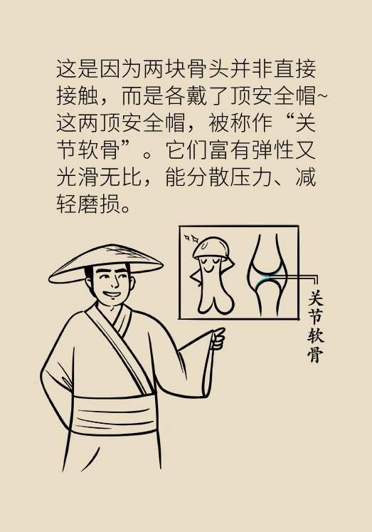 人老關(guān)節(jié)也會老嗎？