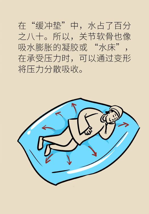 人老關(guān)節(jié)也會老嗎？