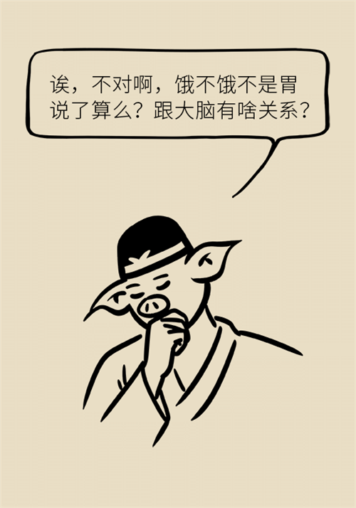 節(jié)食減肥會餓得脾氣暴躁？