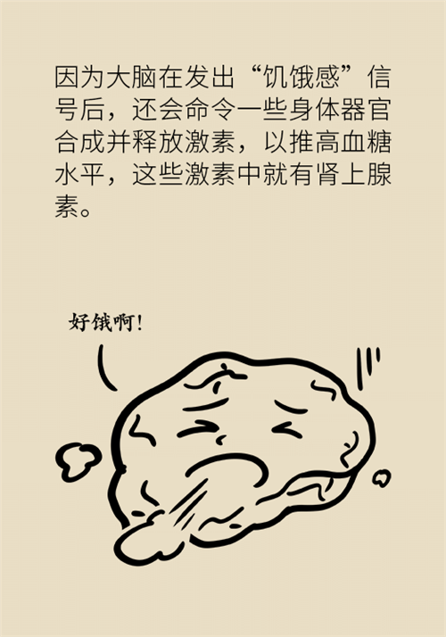 節(jié)食減肥會餓得脾氣暴躁？