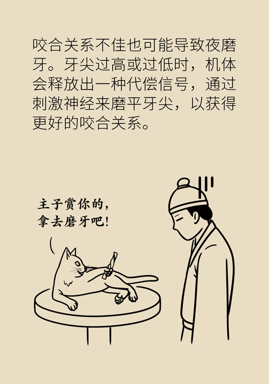 牙齒科普動(dòng)漫 磨牙