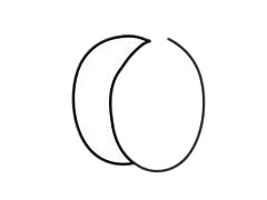 南瓜 南瓜簡(jiǎn)筆畫(huà)圖片