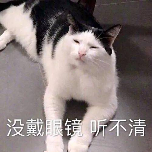 制作動(dòng)畫 制作動(dòng)畫