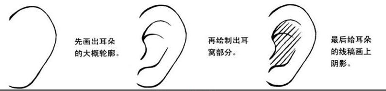 美少女耳朵畫(huà)法.jpg