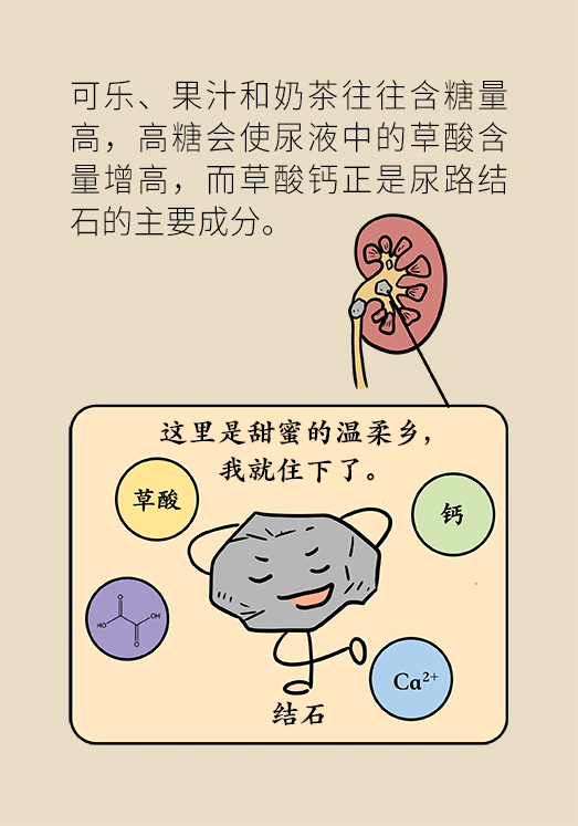 結石科普動漫制作 結石科普動漫制作