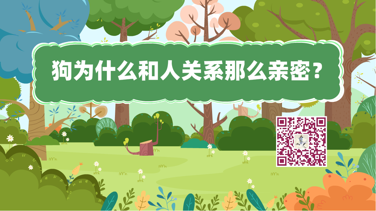 十萬(wàn)個(gè)為什么標(biāo)題(人狗親密)1200.png 十萬(wàn)個(gè)為什么標(biāo)題(人狗親密)1200.png