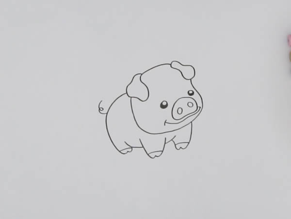 小豬怎么畫簡(jiǎn)筆畫簡(jiǎn)單又可愛