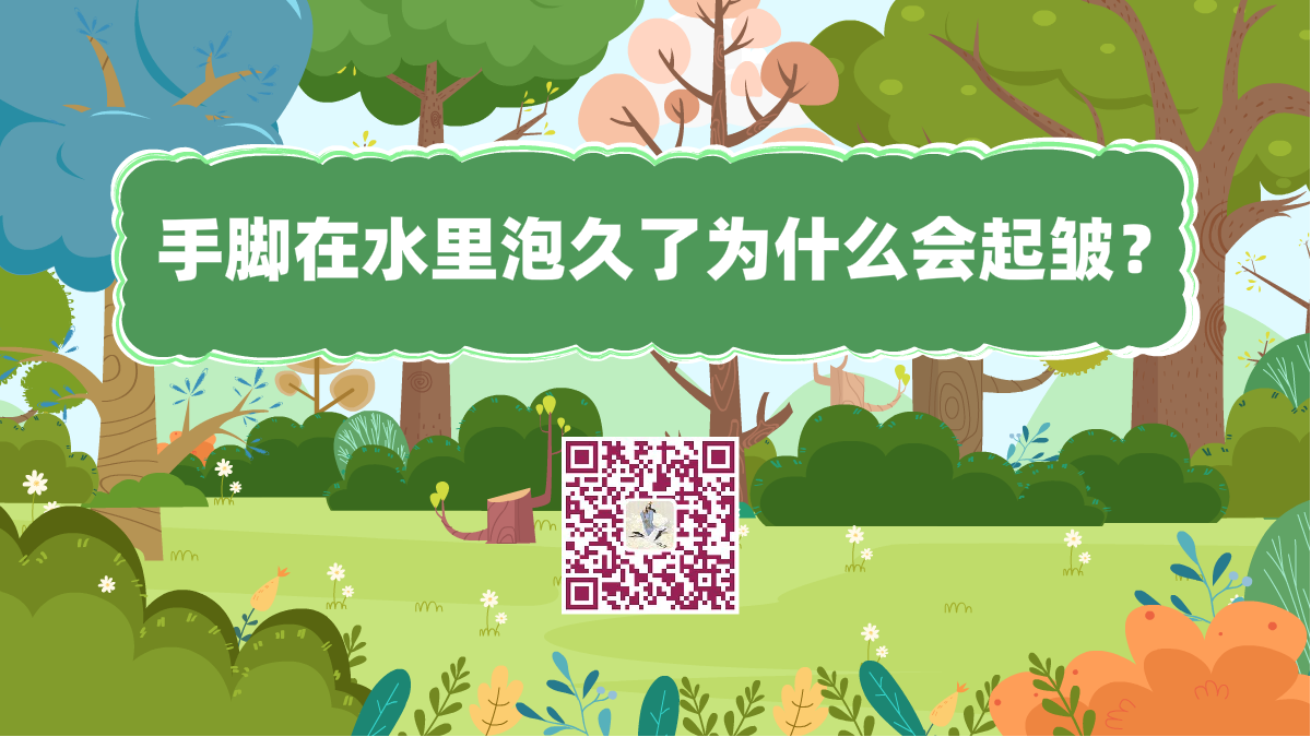 十萬個為什么標(biāo)題(手指在水里泡久了,為什么會起皺)1200.png 十萬個為什么標(biāo)題(手指在水里泡久了,為什么會起皺)1200.png