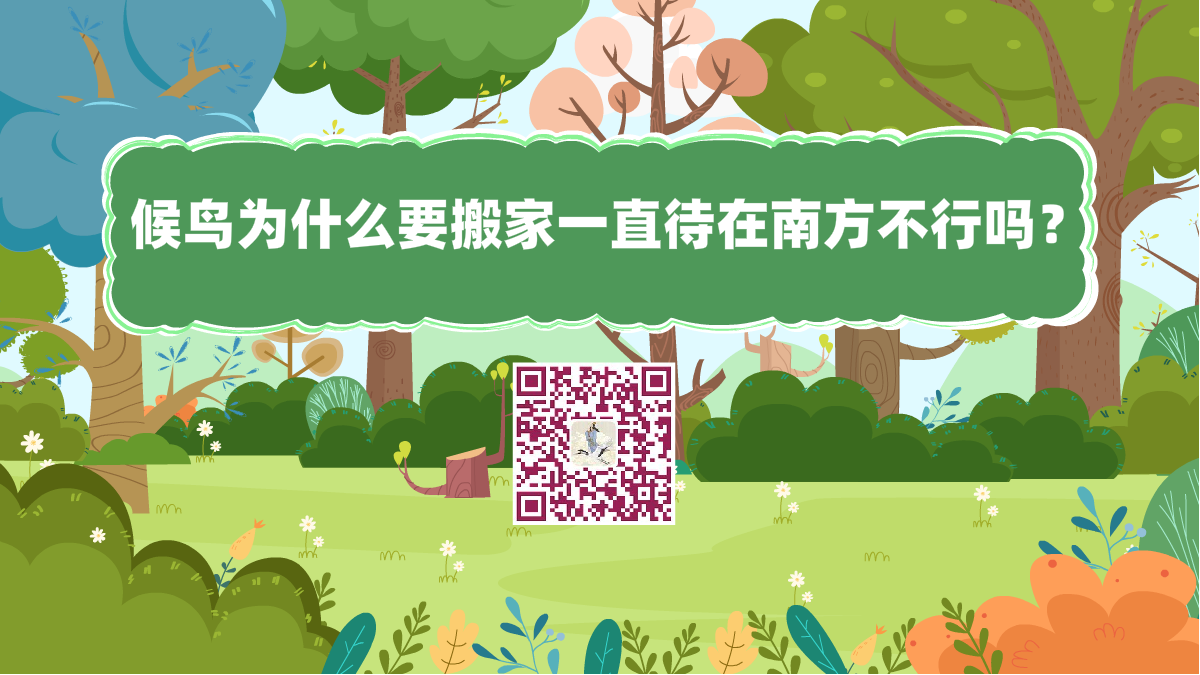 十萬(wàn)個(gè)為什么標(biāo)題(候鳥(niǎo)為什么要搬家一直待在南方不行嗎)1200.png 十萬(wàn)個(gè)為什么標(biāo)題(候鳥(niǎo)為什么要搬家一直待在南方不行嗎)1200.png