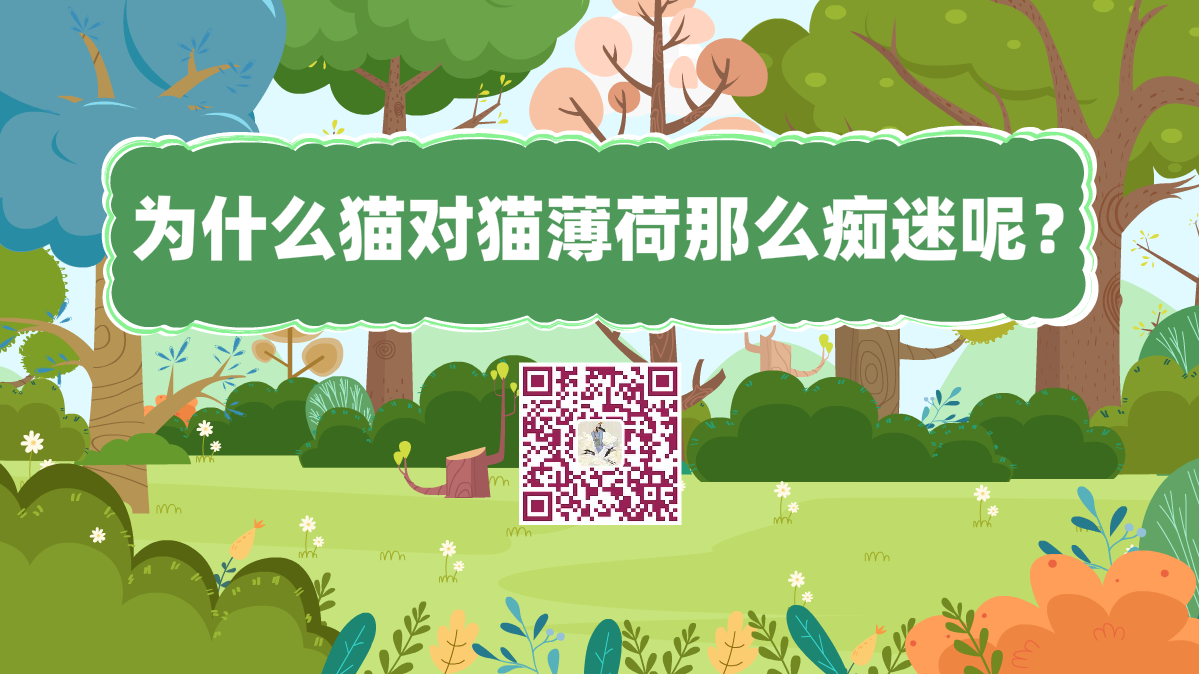 十萬個為什么標(biāo)題(讓貓癡迷的貓薄荷到底是何方神圣)1200.png 十萬個為什么標(biāo)題(讓貓癡迷的貓薄荷到底是何方神圣)1200.png