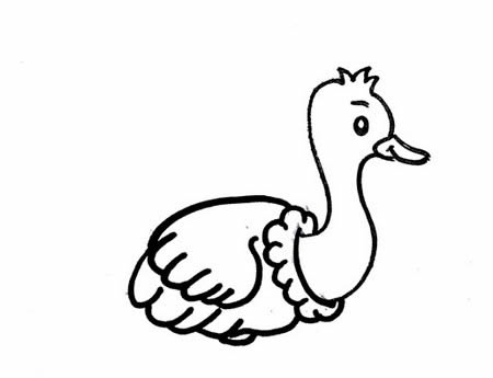 鴕鳥簡(jiǎn)筆畫怎么畫簡(jiǎn)單又好看 帶顏色 步驟圖解