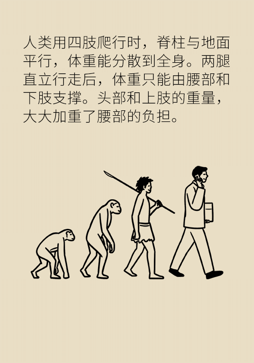久坐久站致腰肌勞損？六招教你戰(zhàn)勝腰痛