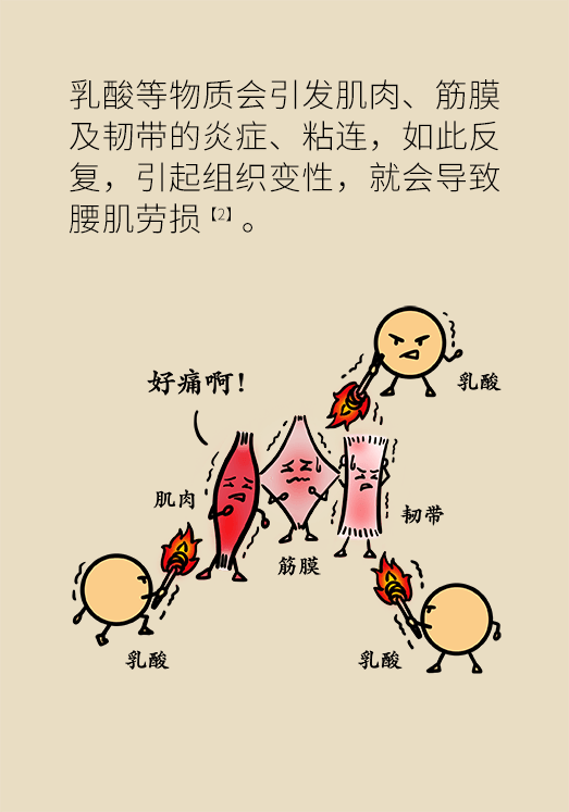 久坐久站致腰肌勞損？六招教你戰(zhàn)勝腰痛