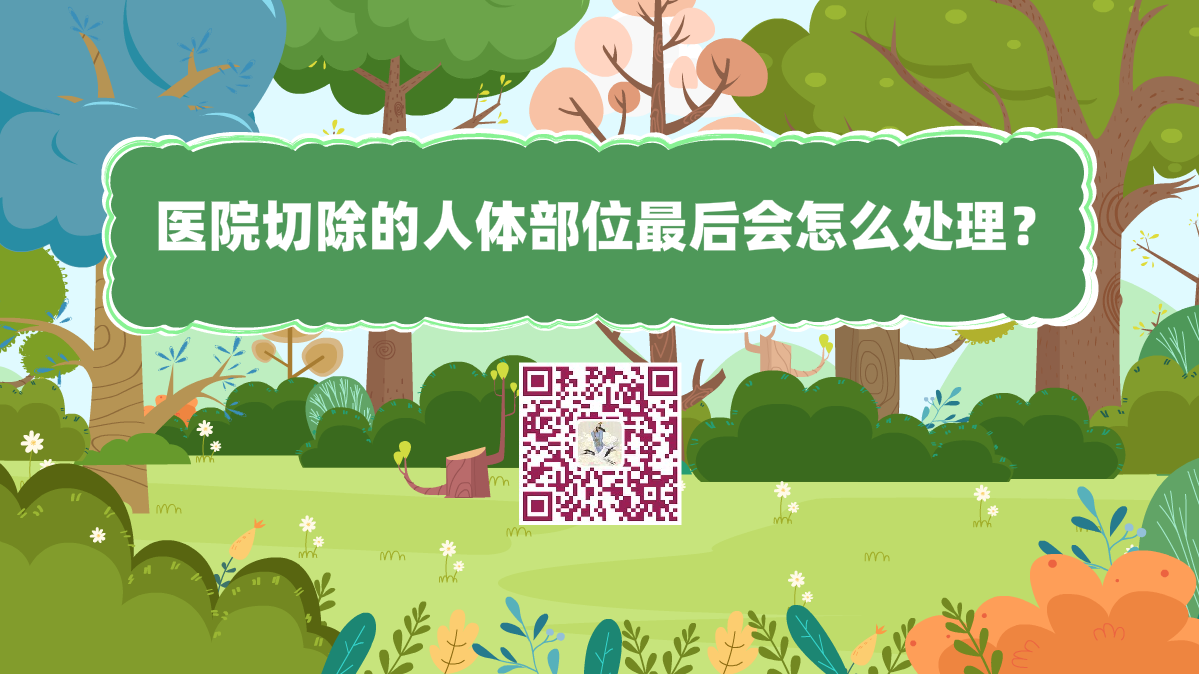 十萬個為什么標(biāo)題(醫(yī)院切除的人體部位最后會怎么處理?)1200.png 十萬個為什么標(biāo)題(醫(yī)院切除的人體部位最后會怎么處理?)1200.png