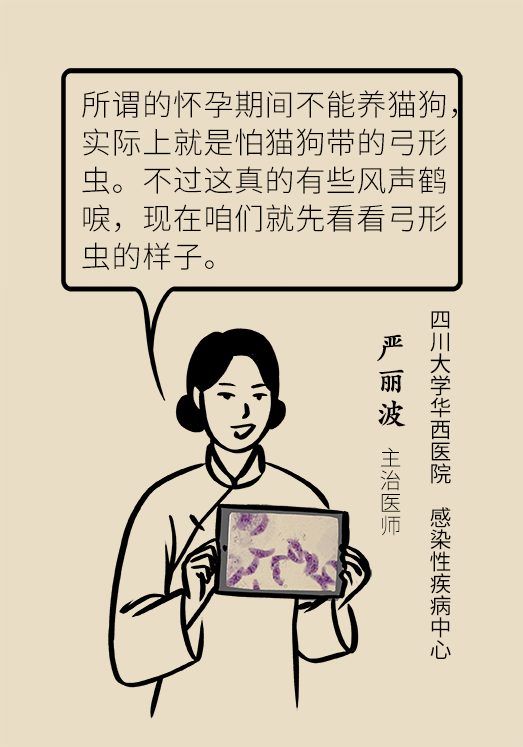 懷孕了不能養(yǎng)貓狗？別再信這些謠言了