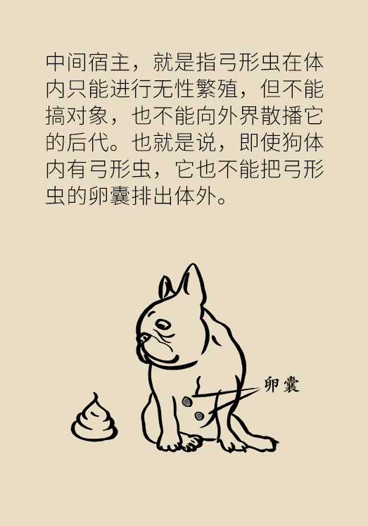 懷孕了不能養(yǎng)貓狗？別再信這些謠言了