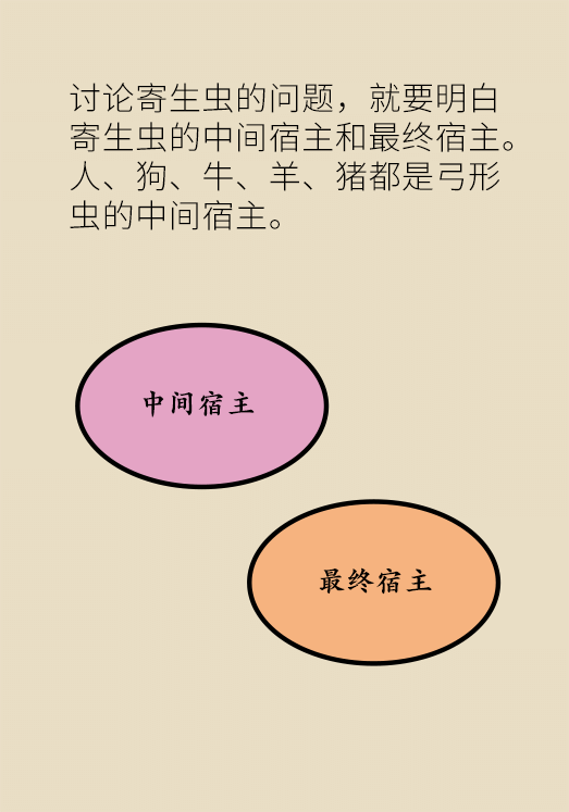 懷孕了不能養(yǎng)貓狗？別再信這些謠言了