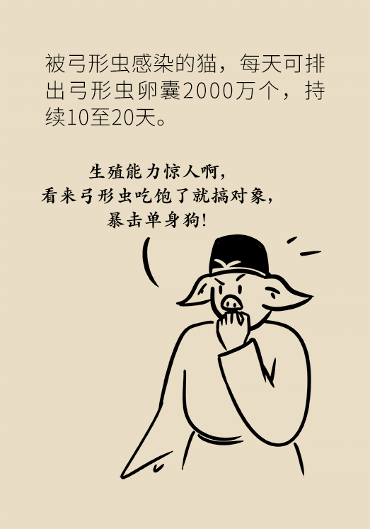 懷孕了不能養(yǎng)貓狗？別再信這些謠言了