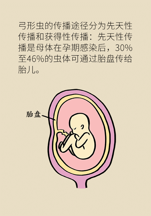 懷孕了不能養(yǎng)貓狗？別再信這些謠言了