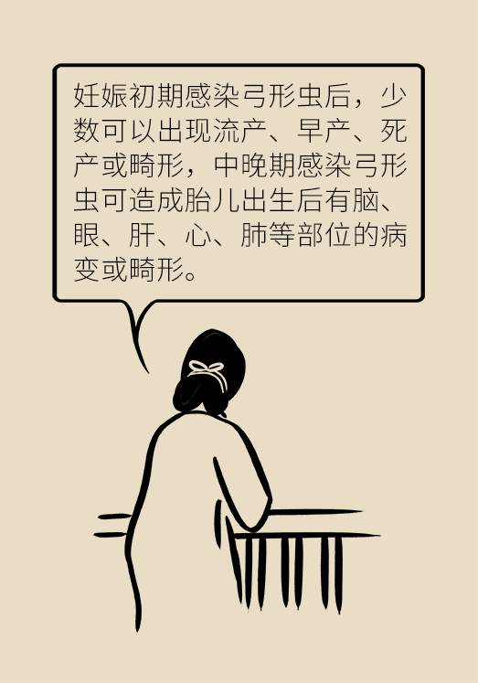 懷孕了不能養(yǎng)貓狗？別再信這些謠言了
