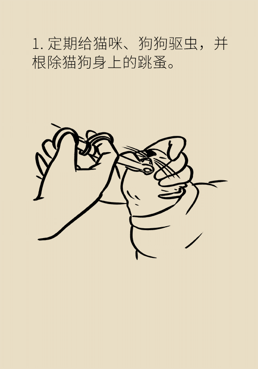 懷孕了不能養(yǎng)貓狗？別再信這些謠言了