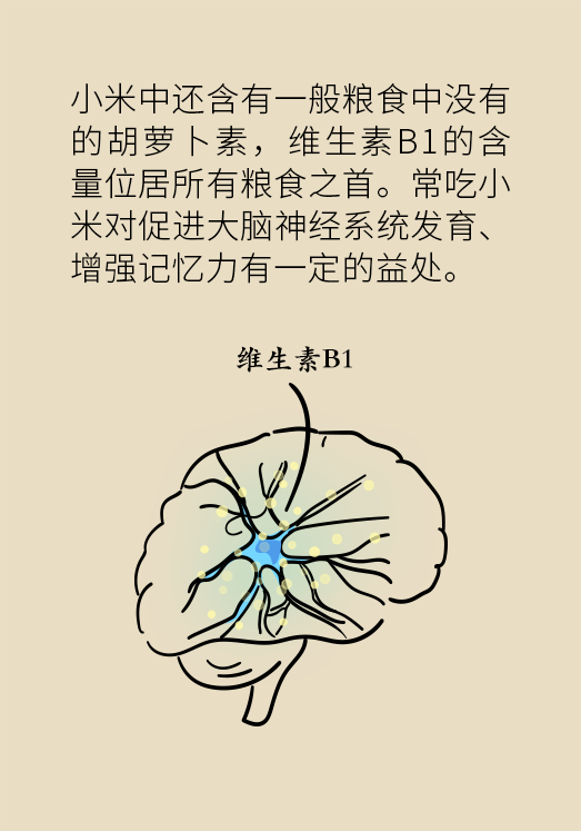 小米黃豆豬蹄怎么做才健康？