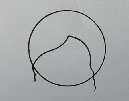 音樂(lè)老師簡(jiǎn)筆畫(huà)簡(jiǎn)單又漂亮 彩色畫(huà)法