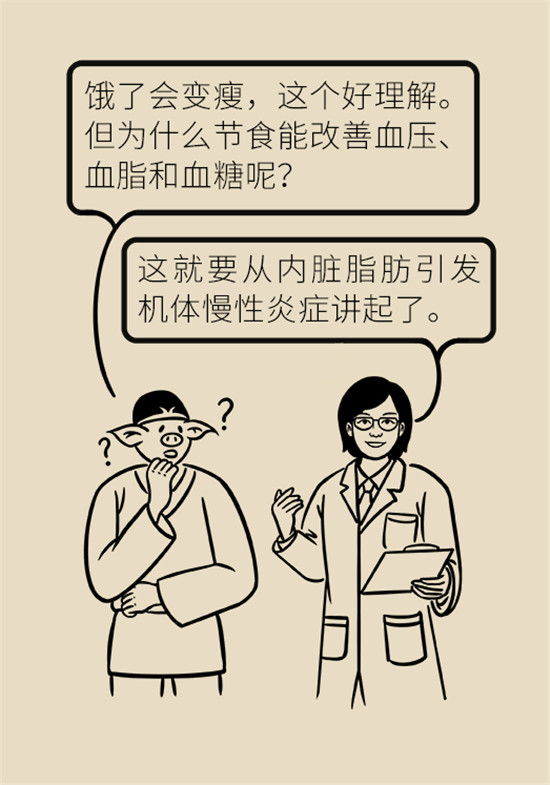 減肥醫(yī)學科普動漫制作