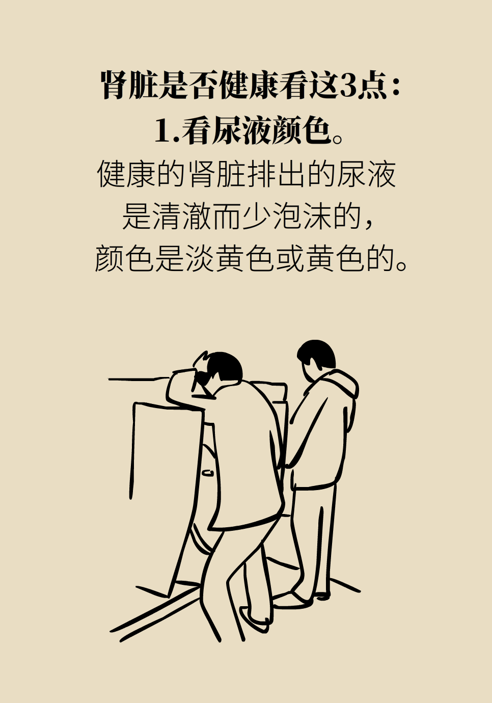 醫(yī)學腎知識科普