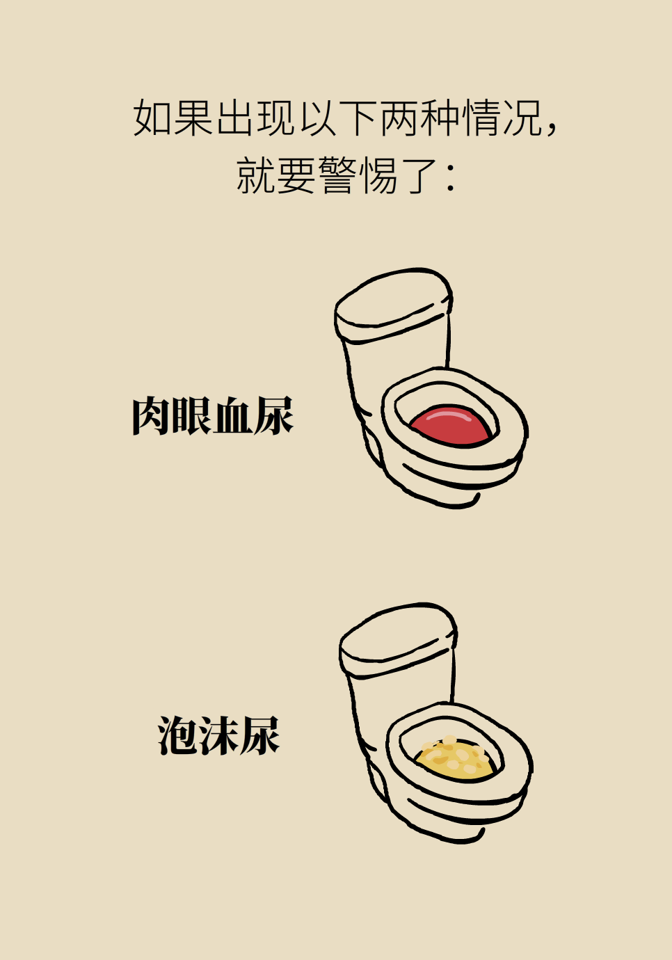 醫(yī)學腎知識科普