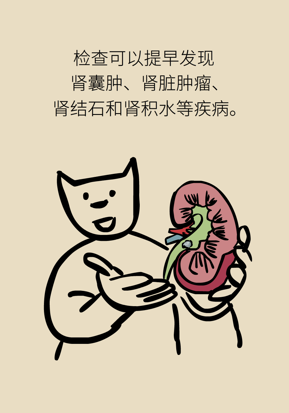 醫(yī)學腎知識科普