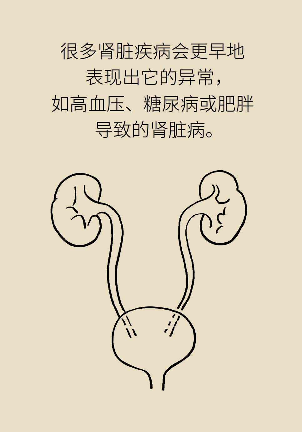 醫(yī)學腎知識科普