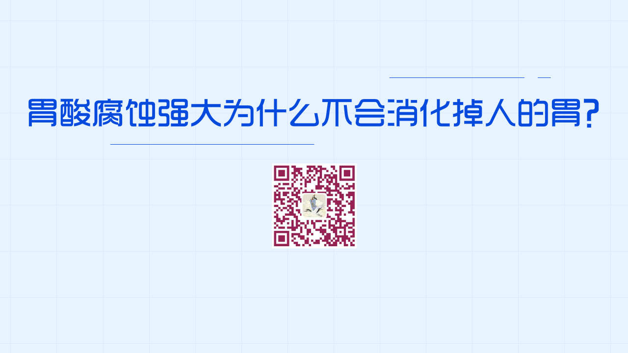 胃酸腐蝕能力強大為什么不會消化掉人的胃？1200.jpg