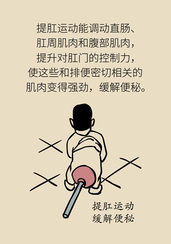 怎么做可以預(yù)防痔瘡呢？按摩前列腺、鍛煉盆底肌