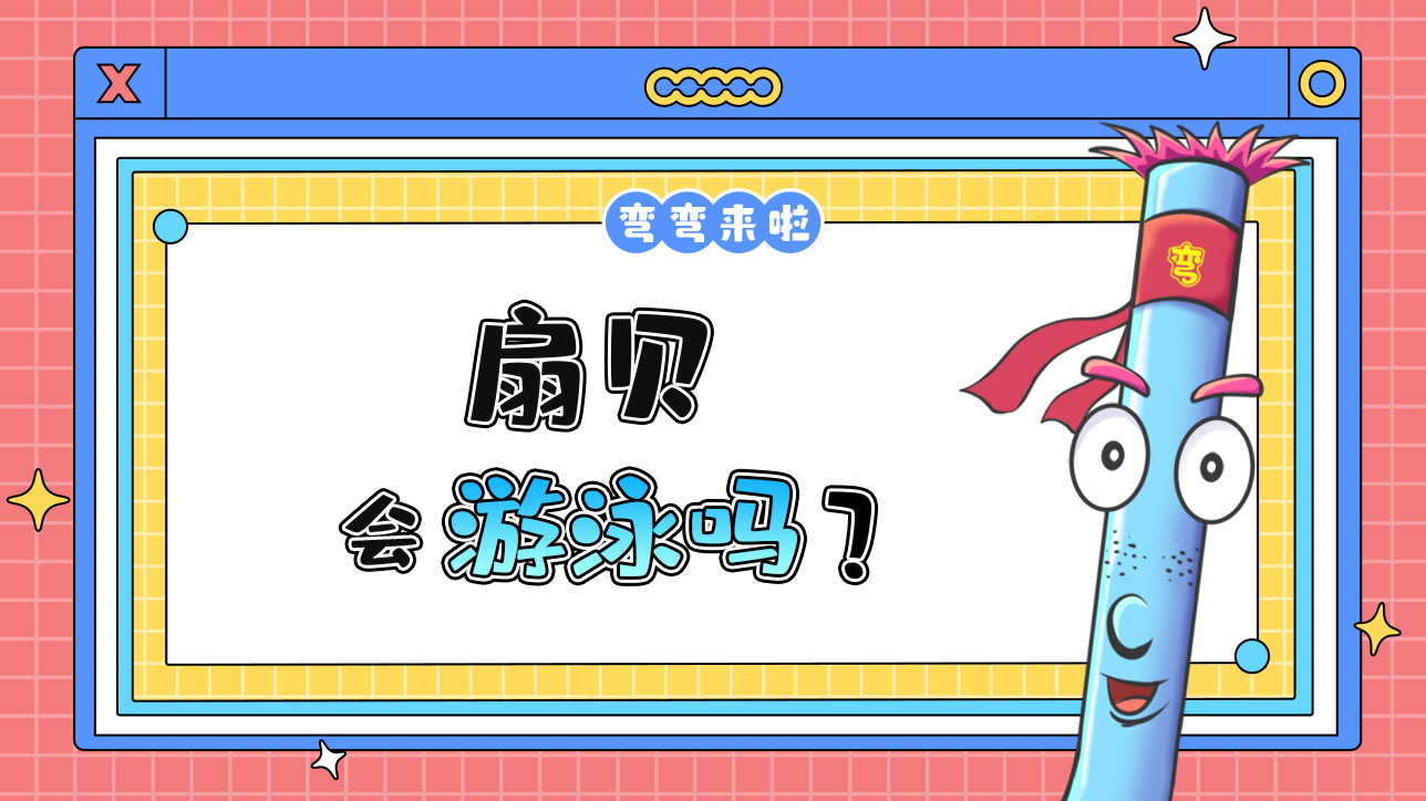 扇貝會游泳嗎？.jpg