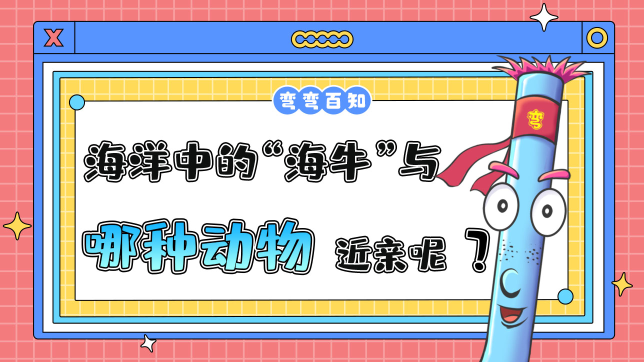 海洋中的“海?！迸c哪種動(dòng)物是近親呢？.jpg