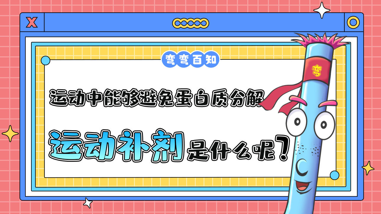 運(yùn)動中能夠避免蛋白質(zhì)分解的運(yùn)動補(bǔ)劑是什么呢？.jpg