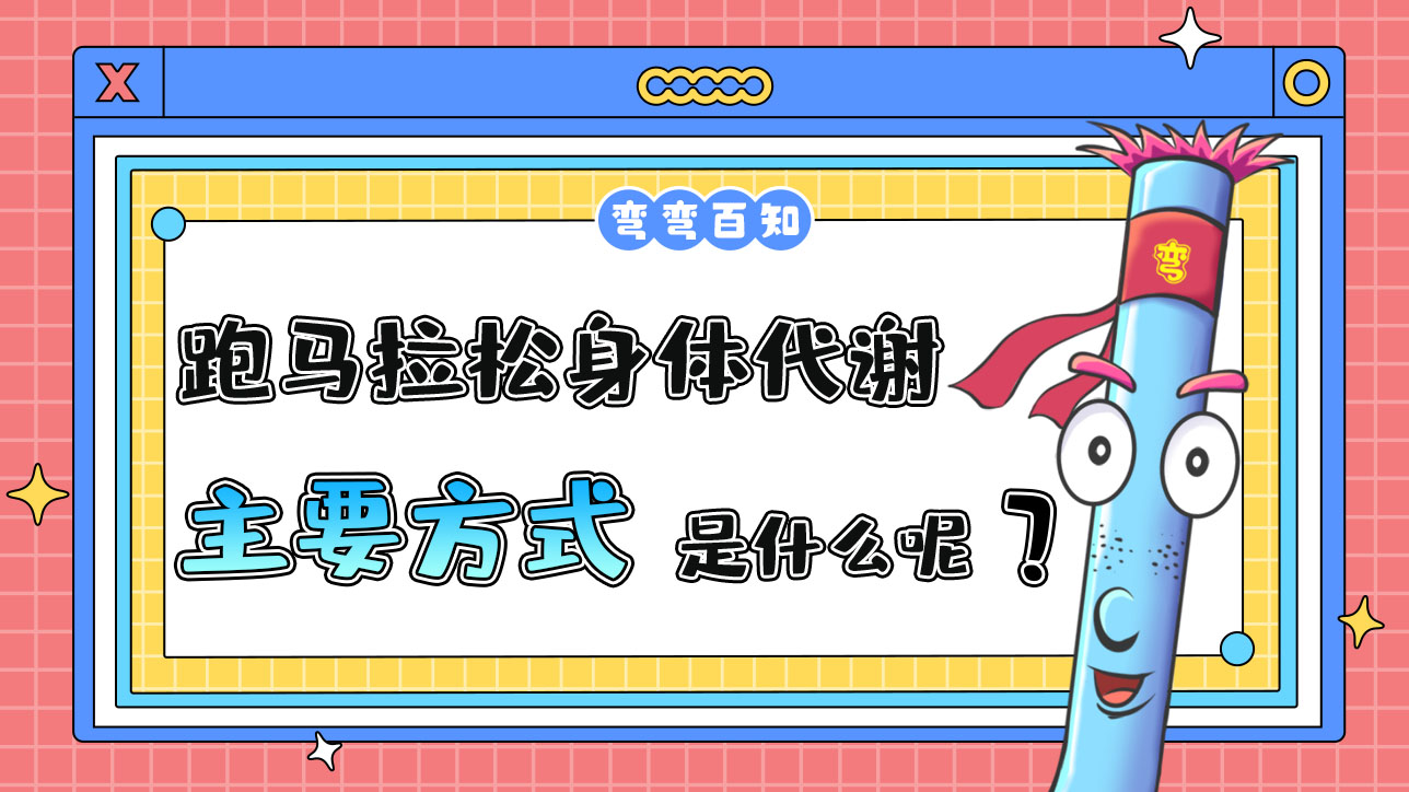 跑馬拉松身體代謝的主要方式是什么呢？.jpg