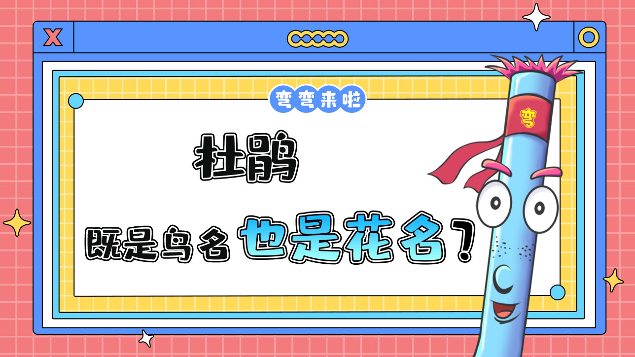 杜鵑既是鳥名也是花名？.jpg