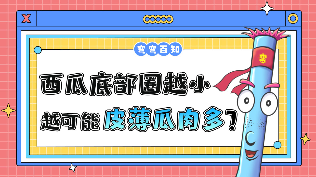 西瓜底部的圈越小可能皮薄瓜肉多嗎？.jpg