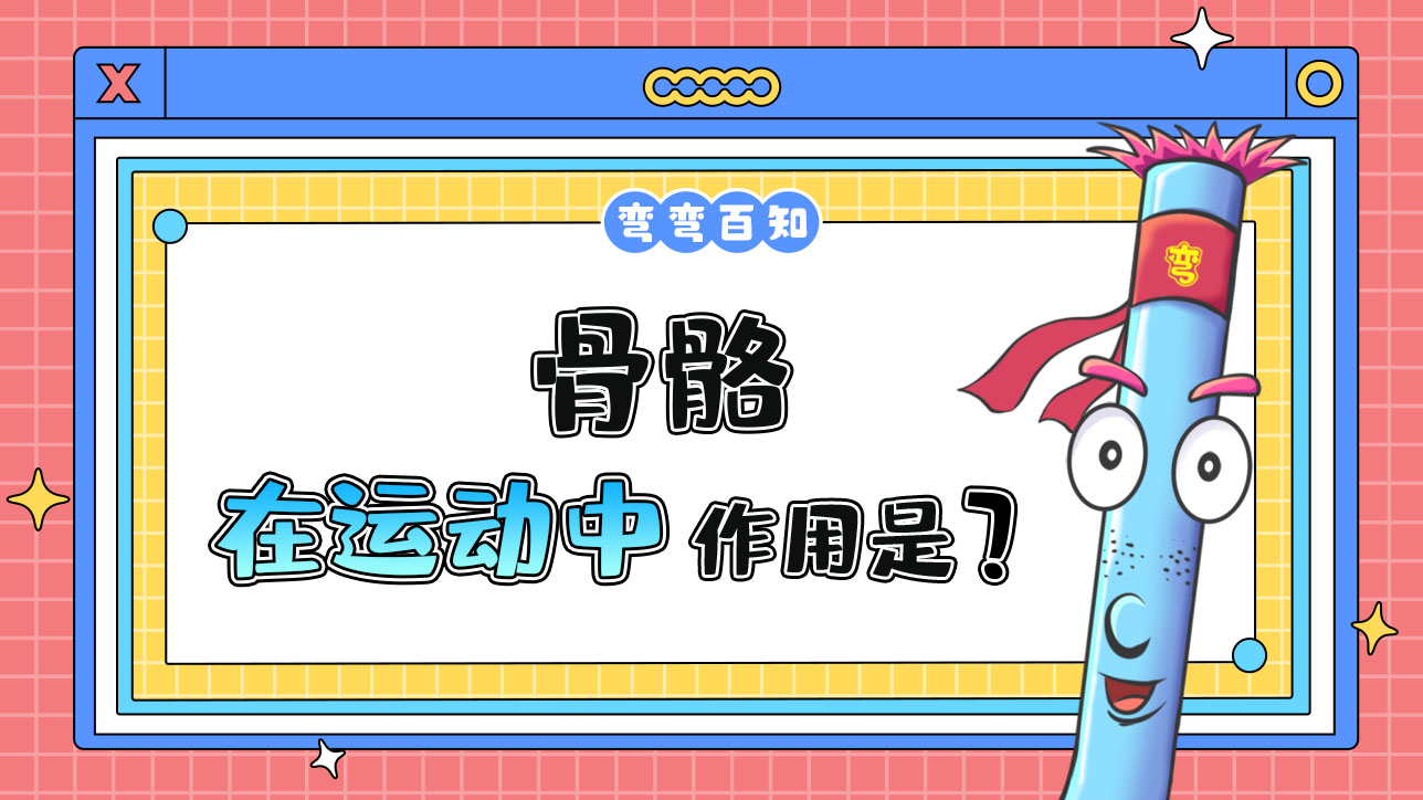 骨骼在運動中的作用是什么呢？.jpg
