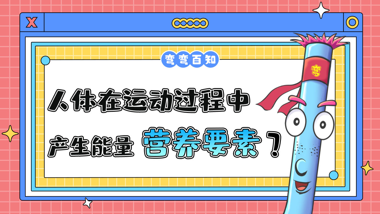 人體在運(yùn)動(dòng)過程中產(chǎn)生能量的營(yíng)養(yǎng)要素有幾種？.jpg