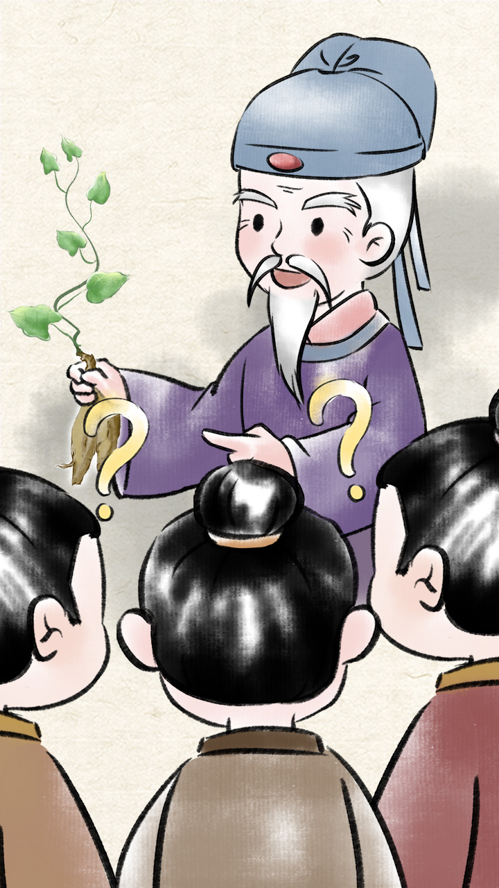 《遍問(wèn)眾人，沒(méi)有一人能夠認(rèn)得這是什么植物！》線稿上色.jpg